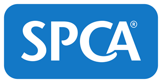 SPCA